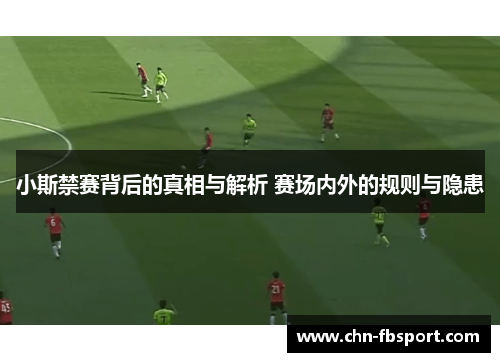 小斯禁赛背后的真相与解析 赛场内外的规则与隐患