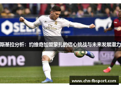 斯基拉分析：约维奇加盟蒙扎的信心挑战与未来发展潜力