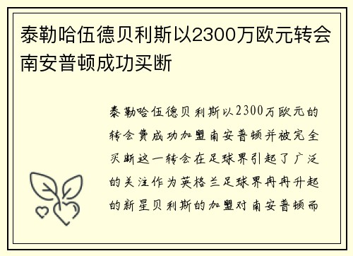 泰勒哈伍德贝利斯以2300万欧元转会南安普顿成功买断